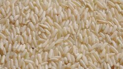 background of grain white rice, close up Stock Footage