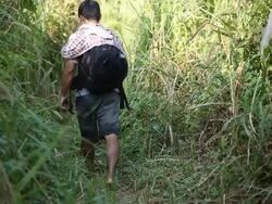 Man walking in the jungle Stock Footage