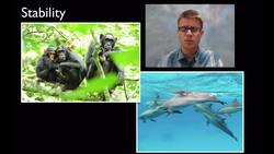 LS2D - Social Interactions and Group Behavior Instructional Video