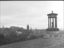 FESTIVAL CITY News Clip