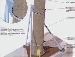 Work to prop up dying chestnut tree at Anne Frank's house Instructional Video