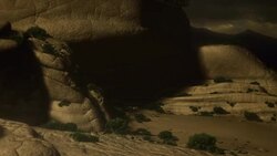 Dinosaurs roar, then investigate a large dinosaur carcass in a computer generated animation. Stock Footage