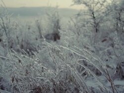 Ice Storm Stock Footage