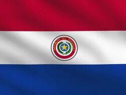 Paraguay flag Stock Footage