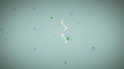 Baby gene therapy study offers hope for fatal muscle disease ++Animation mute++ News Clip