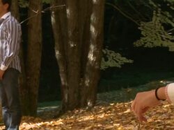 CRANE: Relationship problems Stock Footage