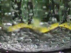 Close up of spinning glass with mineral water Stock Footage