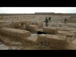 CLEAN: US Marines use dogs to find bombs in Afghanistan News Clip