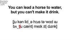 Horse Idioms! American English Pronunciation Instructional Video