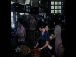 UPITN 19 6 74 GENERAL POLITICAL BACKGROUNDER TO CAMBODIA News Clip