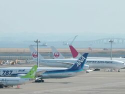 Grounded Boeing 787 Aircraft At Haneda Airport Stock Footage