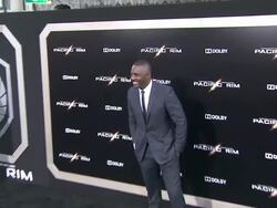 Idris Elba at Pacific Rim Los Angeles Premiere on 7/92013 in Hollywood, CA. (Footage by WireImage Video/Getty Images Entertainment Video) Stock Footage