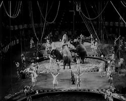 ALL FOR CHARITY News Clip