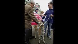 Bartman Gets Cubs World Series Ring News Clip