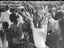 SAY IT WITH FLOWERS News Clip