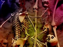(Loop) Halloween, Dolly over a field of Skeletons Stock Footage