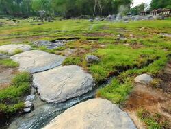 Beautiful geyser Stock Footage