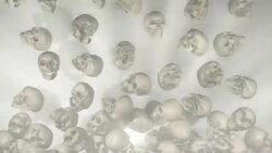 Lots of Skulls filling the Screen Stock Footage