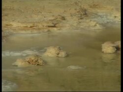 RR0230/C  Dead Sea: Sinkholes News Clip