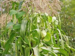 Autumn is here Stock Footage