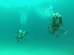 Divers pass by over camera, Borneo, Malaysia, Southeast Asia Stock Footage
