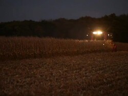 Combine Harvesting Fall Cornfield at Night Stock Footage