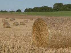WS View of fields near Kirf at Saarburg Country / Saargau near Kirf, Rhineland-Paltinate, Germany Stock Footage