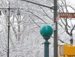 MS Central Park street signs in snow with subway globes / New York, New York, USA Stock Footage