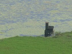 WS AERIAL Shot of small house on lake containing in green algae / Bad Buchau, Baden Wurttemberg, Germany Stock Footage