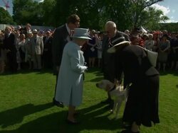 Queen Elizabeth II Meets Guests and Guide Dog At Red Cross Garden Party News Clip