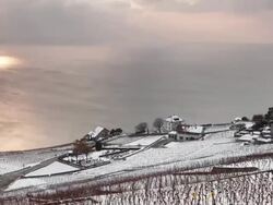 vineyard and lake in winter Stock Footage