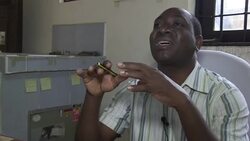 Farming butterflies for exhibits News Clip