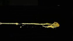 Beverage splash on black background Stock Footage