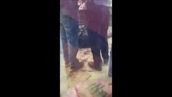 CLEAN : Three injured in West Bank settlement stabbing: police News Clip