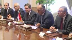 CLEAN : French FM seeks Gaza truce in Egypt visit News Clip