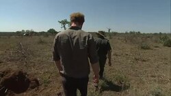 Prince Harry Visits Kruger National Park News Clip