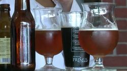 CLEAN: Mexican drinkers say cheers to micro-brewed beers News Clip