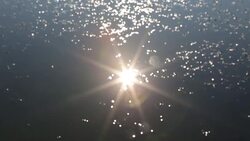 Lens in lake Stock Footage