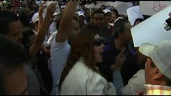 Pro- and anti-bullfighting protesters lobby lawmakers News Clip