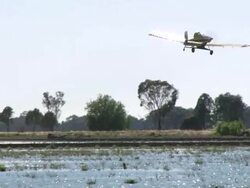 WS TS View of Plane drops rice seeds / Melbourne, Australia Stock Footage