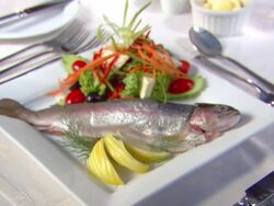 CU R/F Plate of food, fish and salad / Mpumalanga, South Africa Stock Footage