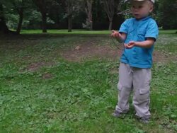 Boy feeding a squirrel Stock Footage