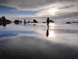 MS TS Shot of Woman walking on beach at sunset / Bandon Beach, Oregon, United States Stock Footage