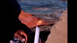 CUTS 1 8 81SQUATTERS ARRESTED AS ILLEGAL RESIDENTS Instructional Video