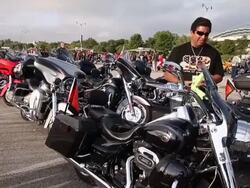 Harley Davidson Celebrates Its 110th Anniversary Stock Footage