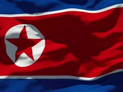 North Korean Flag Stock Footage