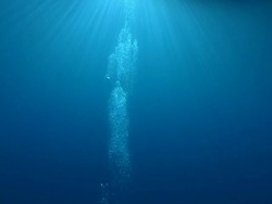Diver's bubbles rising in clear, blue waters, Baa Atoll, The Maldives Stock Footage
