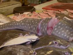 MS ZI Chopped up whale shark meat at fish market / Brunei, Brunei Darussalam Stock Footage