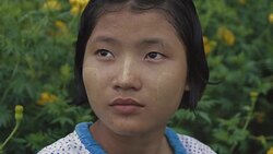 M/S SLO MO Myanmar teenage girl in a field of yellow mums, rain Stock Footage
