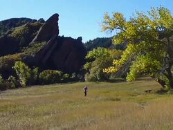 HD video autumn trail running in Colorado state park Stock Footage